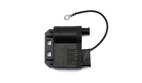 Ignition coil for - ignition,
