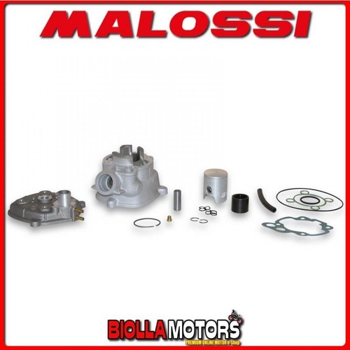 3112199 thermal group malossi - 3112199,